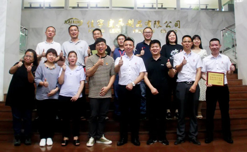 優化管理，高效增長：中山佳寧皮具制品有限公司系統管理升級項目取得圓滿成功