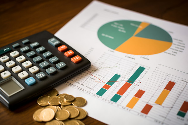 強(qiáng)化集團(tuán)管控：財(cái)務(wù)，人力資源，信息技術(shù)的整合