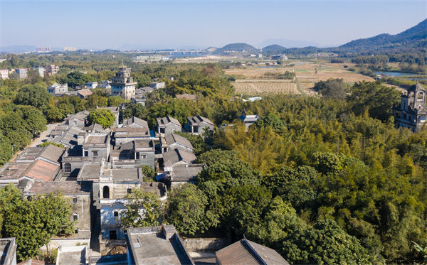 江門管理咨詢公司如何定制高效解決方案？