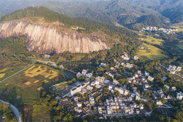 肇慶管理咨詢公司如何助力企業實現數字化轉型？