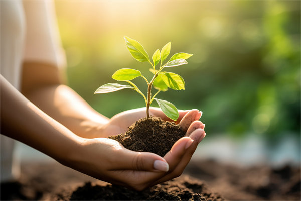 可持續(xù)發(fā)展成為趨勢，企業(yè)如何融入綠色戰(zhàn)略以促增長？