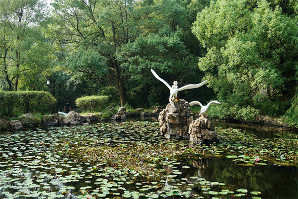 株洲預(yù)算管理咨詢(xún)公司如何為企業(yè)打造精準(zhǔn)預(yù)算管理體系？