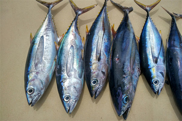 商務部：將幫助外貿企業擴寬內銷渠道，政策解讀！