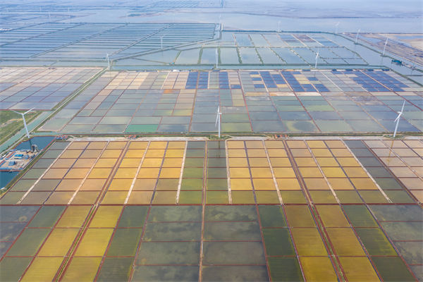 濰坊制造業招工難留人更難，濰坊人力資源咨詢公司如何破局用工困局？