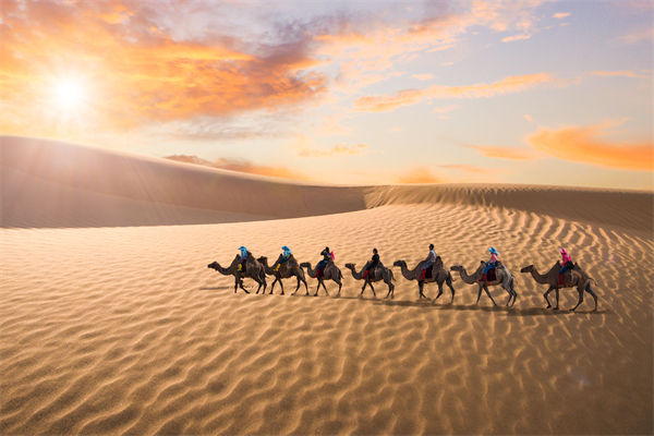 企業(yè)文化管理失效？這三大認(rèn)知誤區(qū)為何拖垮團(tuán)隊(duì)？