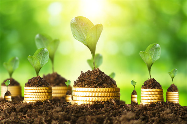 預算管理咨詢公司如何幫助企業破解資金錯配問題？