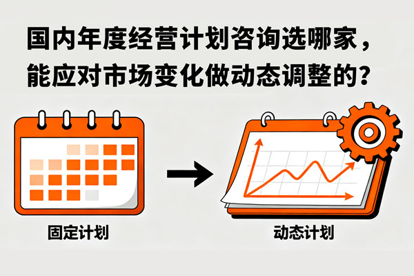 國內年度經營計劃咨詢選哪家，能應對市場變化做動態調整的？