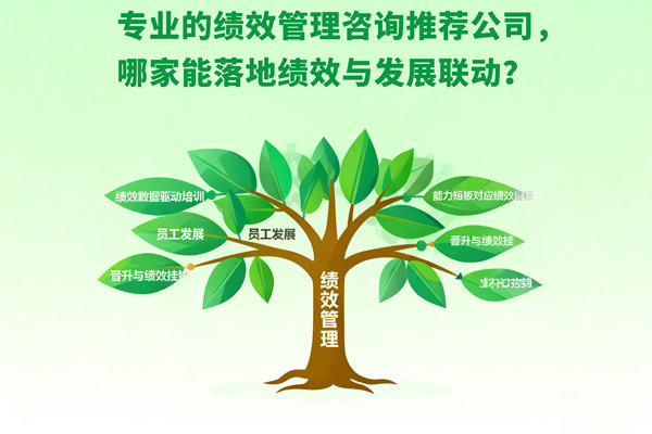 專業的績效管理咨詢推薦公司，哪家能落地績效與發展聯動？
